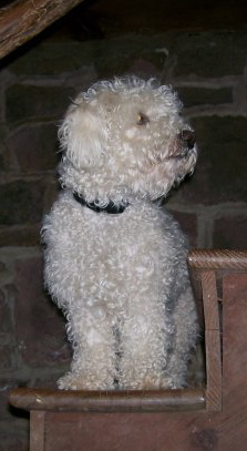 N682375933 730989 3932.jpg