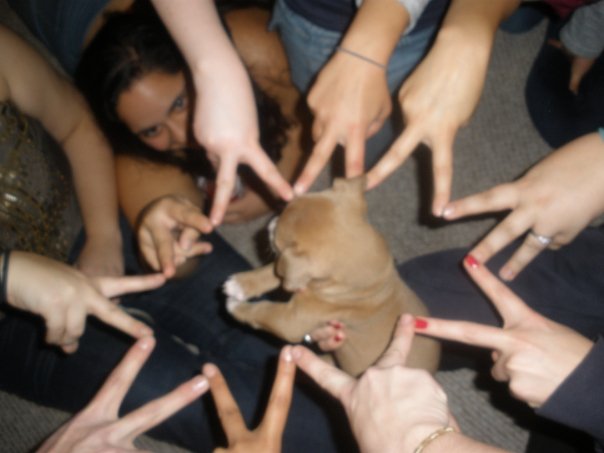 14769 1148920371205 1473450215 30385626 556710 n.jpg