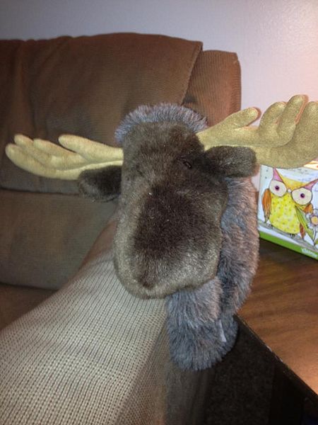 File:GM MartyTheMose.jpg