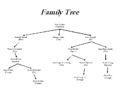 Becca Family Tree.jpg
